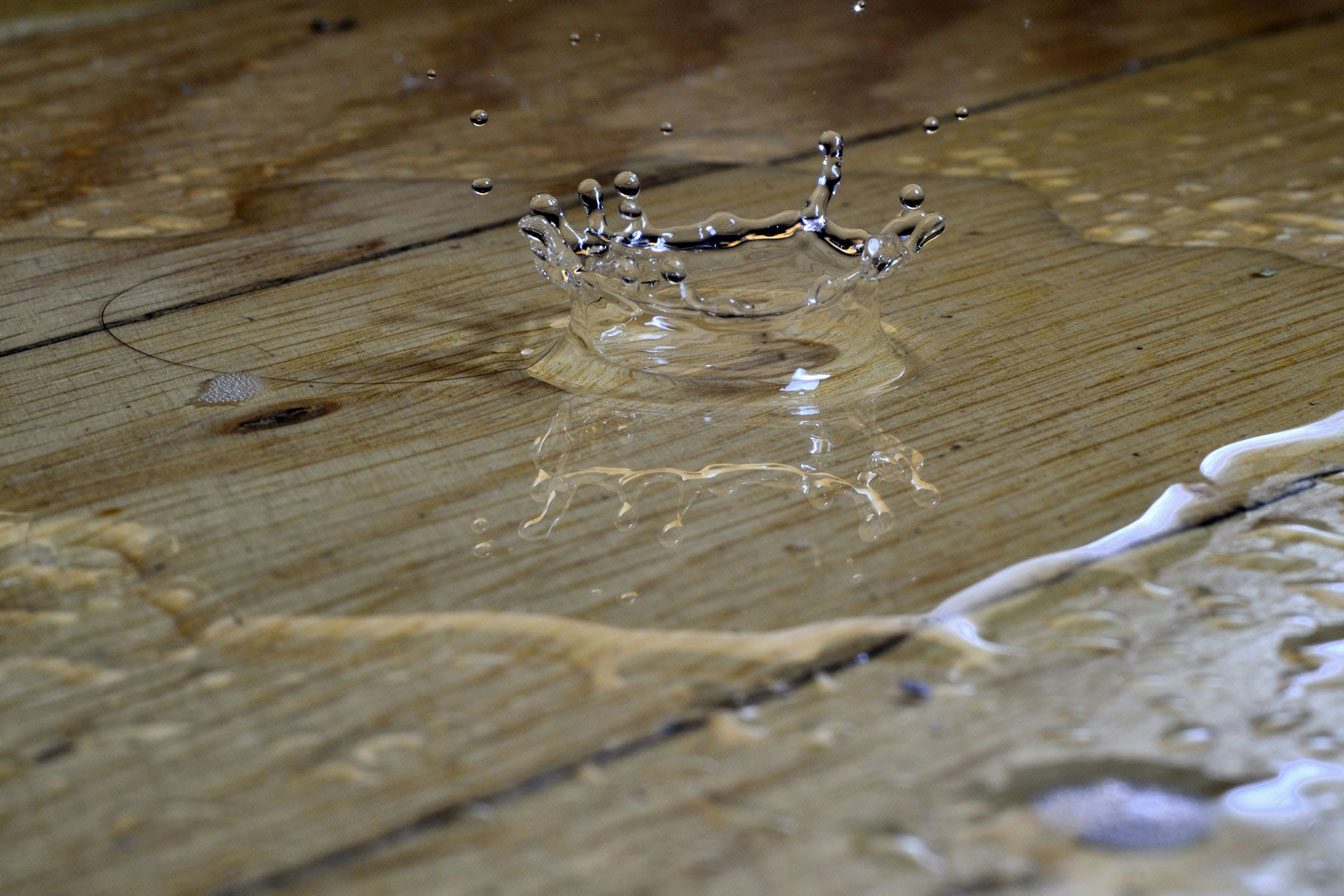 Water Damage Cleanup: 5 Things You Should Know