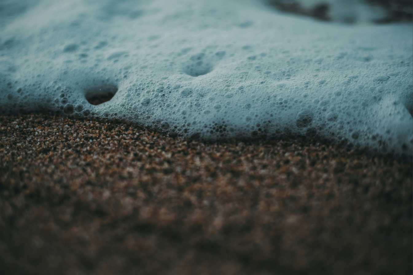 Can Wet Carpet Be Saved After a Flood?